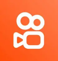 直播伴侣 Logo
